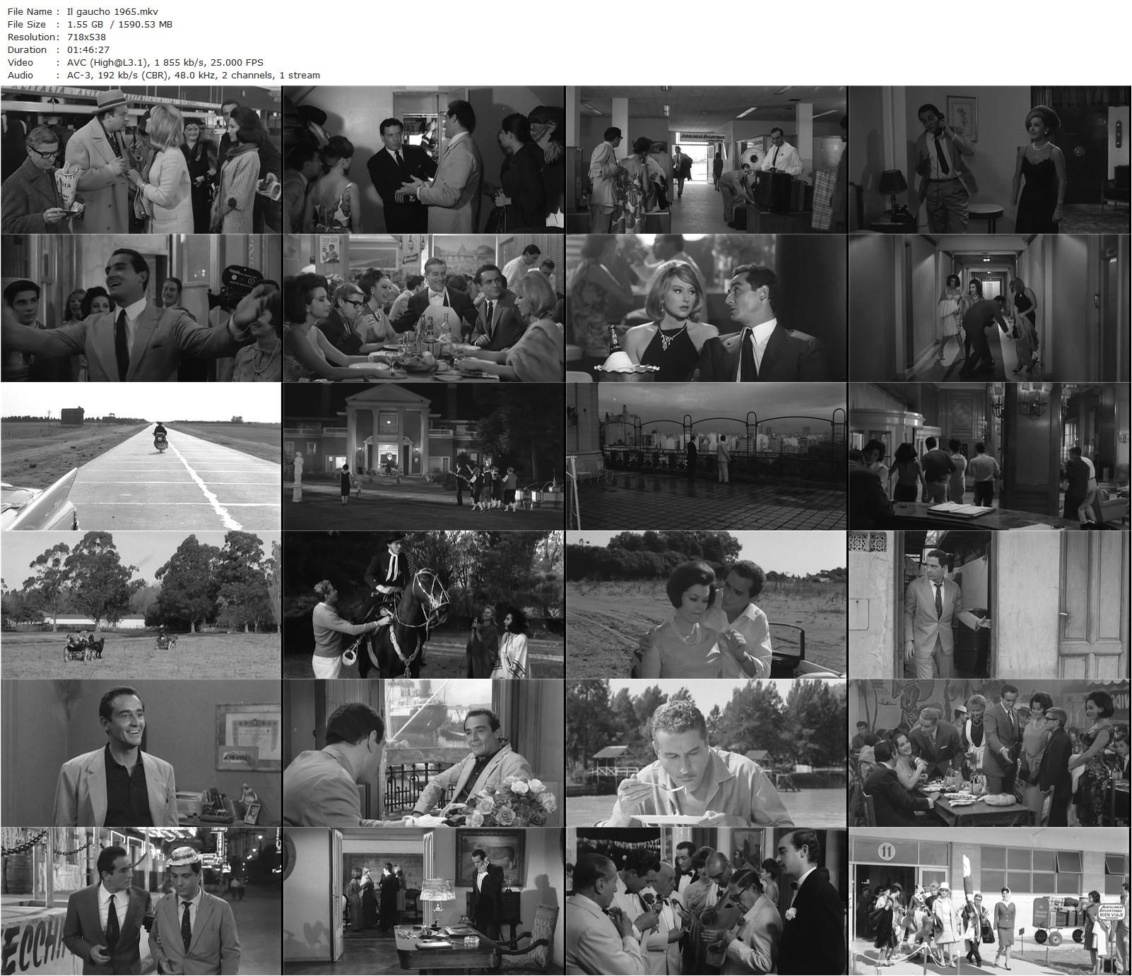 The Gaucho (1964) Dino Risi, Vittorio Gassman, Amedeo Nazzari, Nelly Panizza-poster