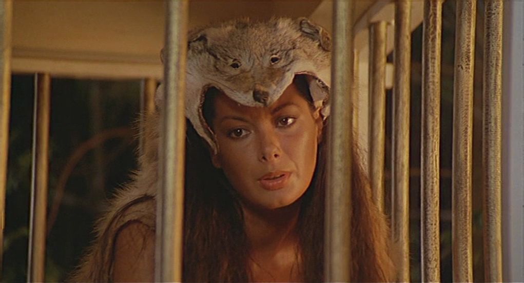 Il ladrone / The Good Thief (1980) Pasquale Festa Campanile, Enrico Montesano, Edwige Fenech, Bernadette Lafont, Comedy, Erotic-poster