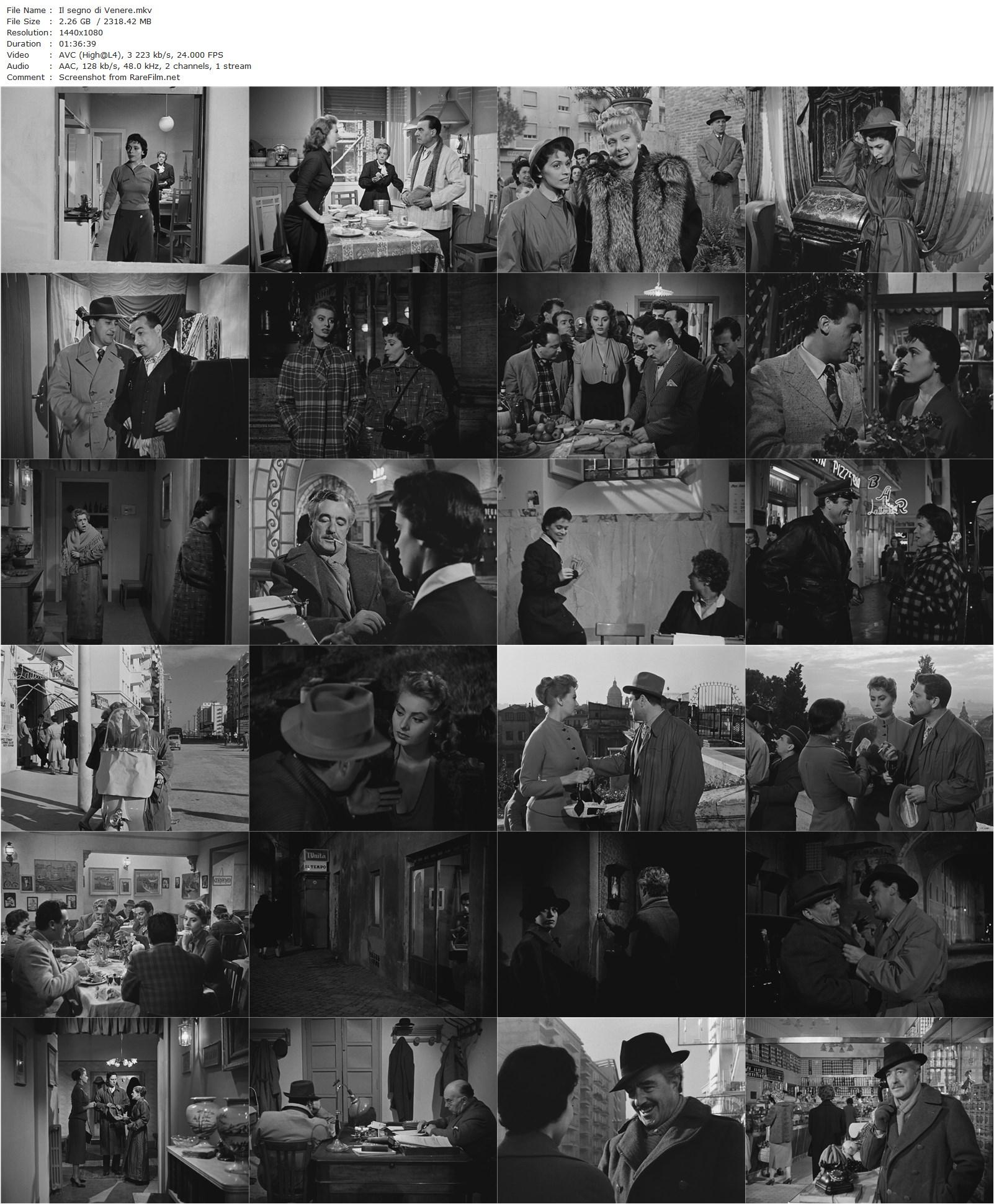 Il segno di Venere / The Sign of Venus (1955) Dino Risi, Sophia Loren, Franca Valeri, Vittorio De Sica-poster