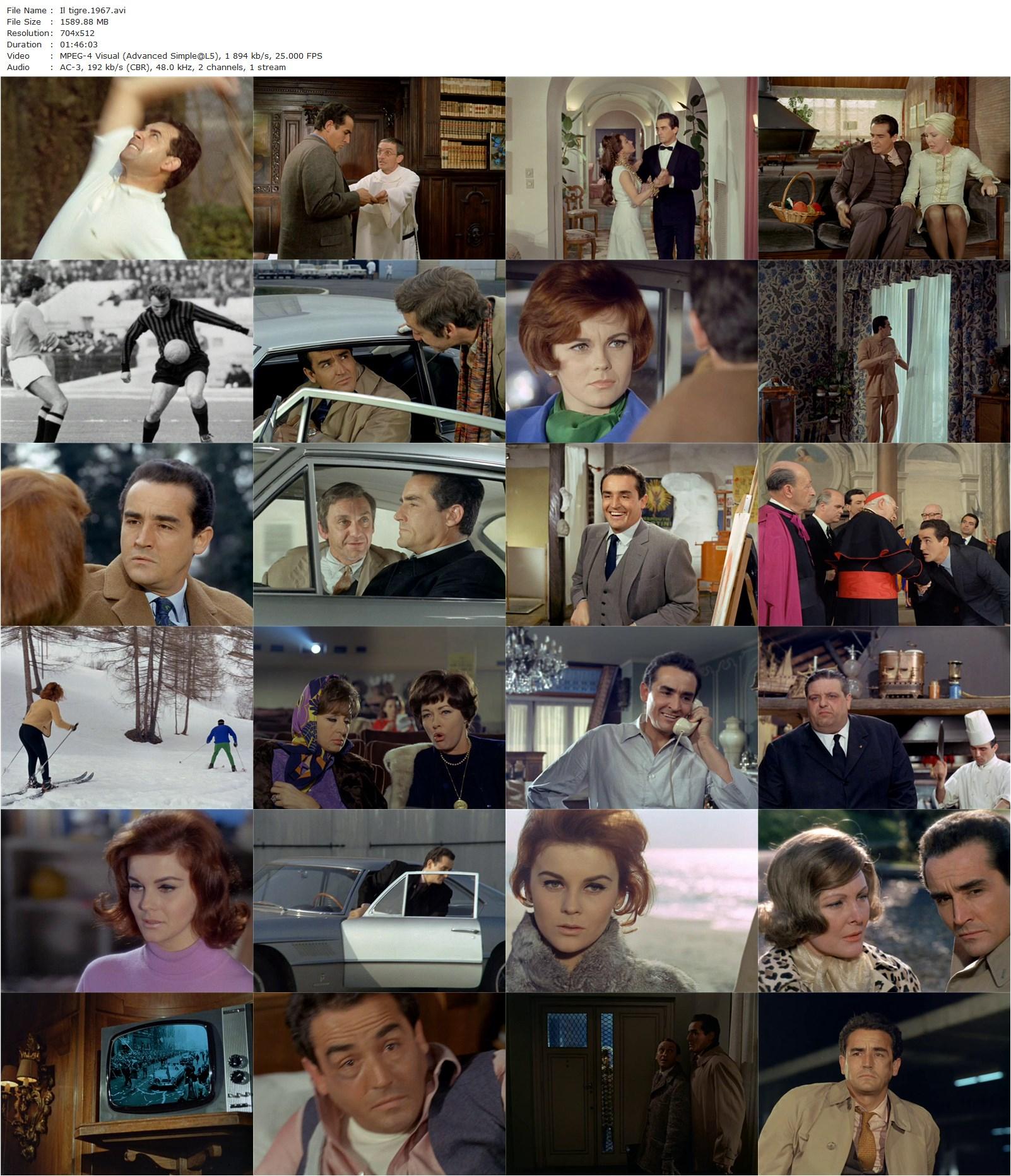 The Tiger and the Pussycat / Il tigre (1967) Dino Risi-poster