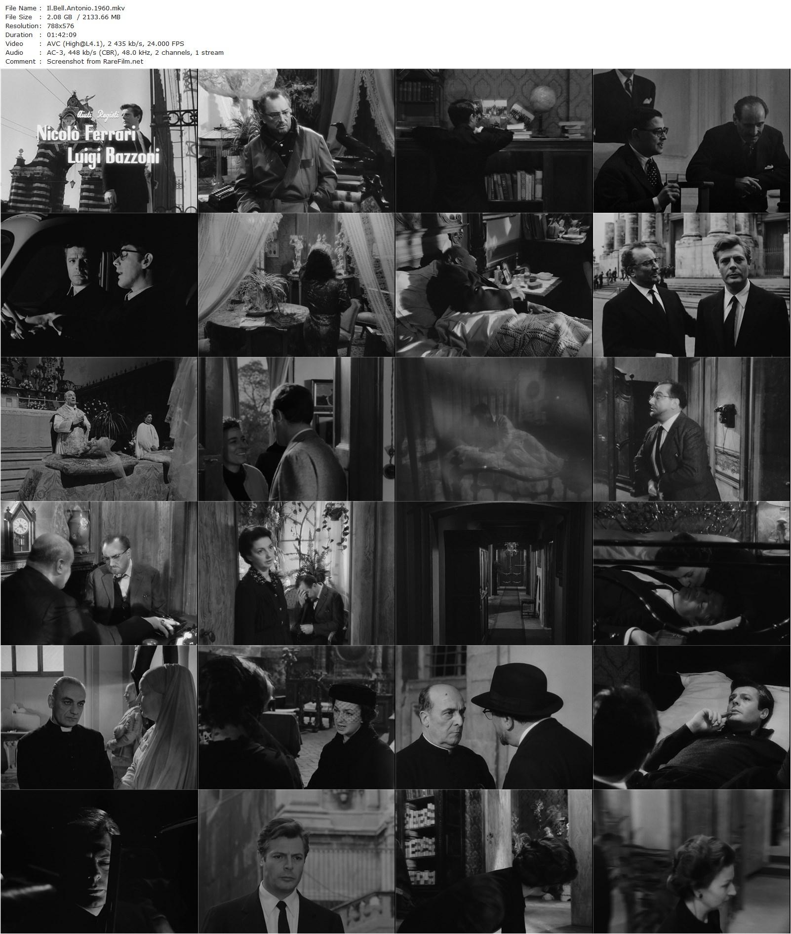 Bell’ Antonio / Il bell’Antonio (1960) Mauro Bolognini, Marcello Mastroianni, Claudia Cardinale, Pierre Brasseur-poster