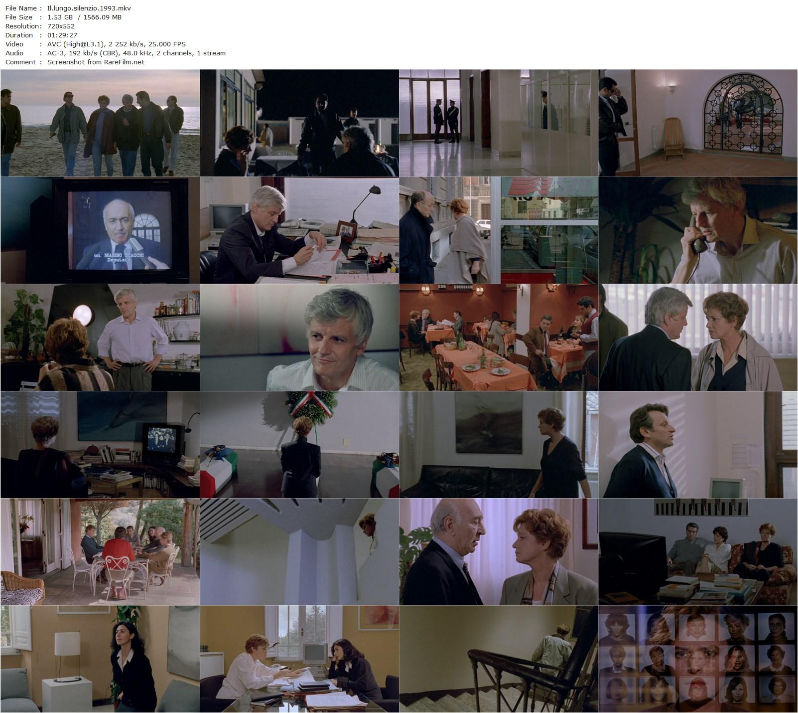 The Long Silence / Il lungo silenzio (1993) Margarethe von Trotta, Carla Gravina, Jacques Perrin, Paolo Graziosi-poster