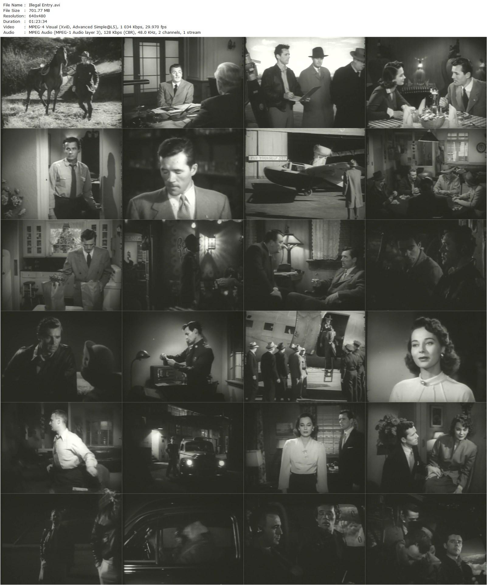 Illegal Entry (1949) Frederick De Cordova-poster