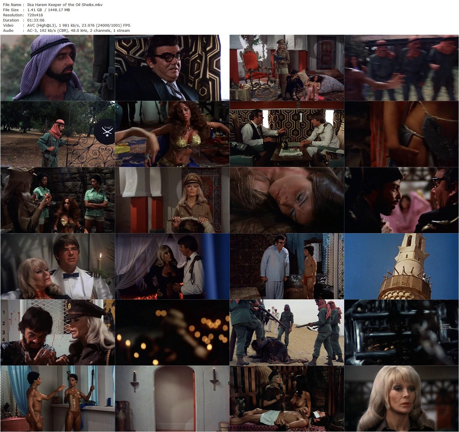 Ilsa, Harem Keeper of the Oil Sheiks (1976) Don Edmonds, Dyanne Thorne, Max Thayer, Jerry Delony-poster