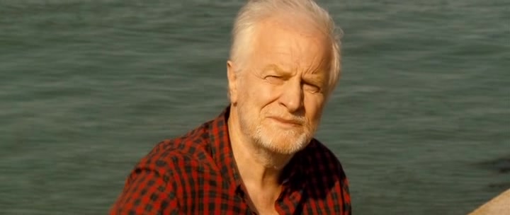 Unforgivable AKA Impardonnables (2011) André Téchiné, André Dussollier, Carole Bouquet, Mélanie Thierry-poster