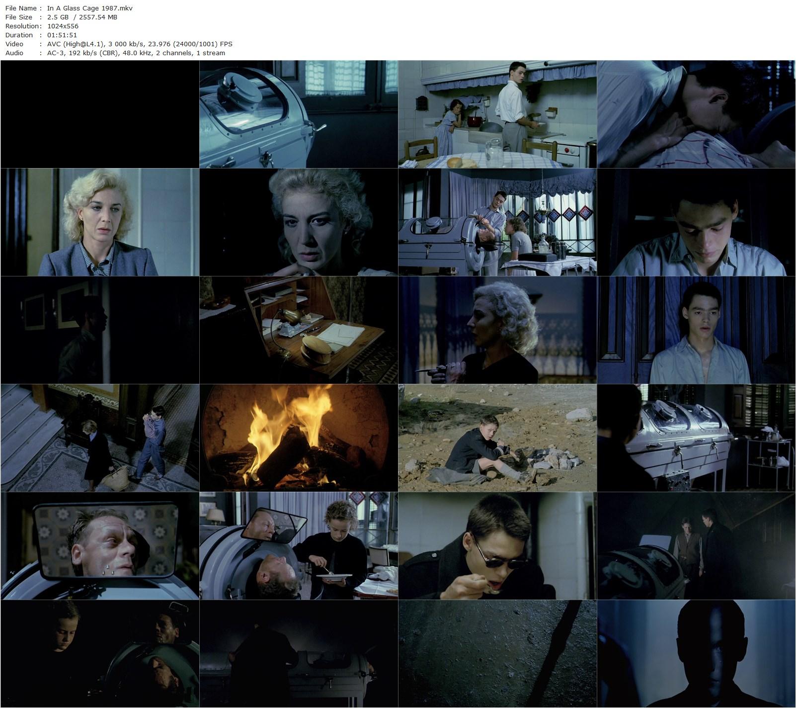 In a Glass Cage AKA Tras el cristal (1986) Agustí Villaronga, Günter Meisner, David Sust, Marisa Paredes-poster