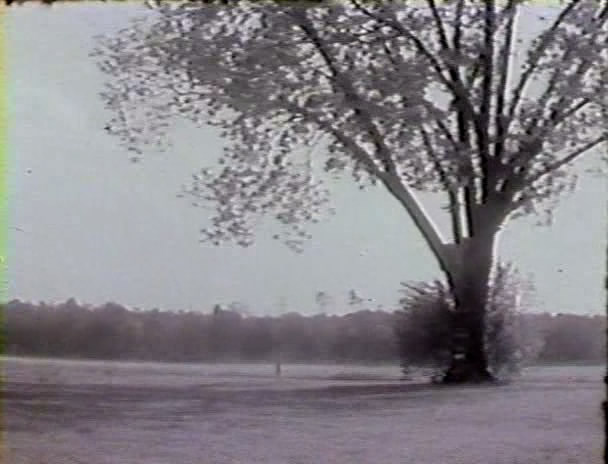 In Between (1978)-poster