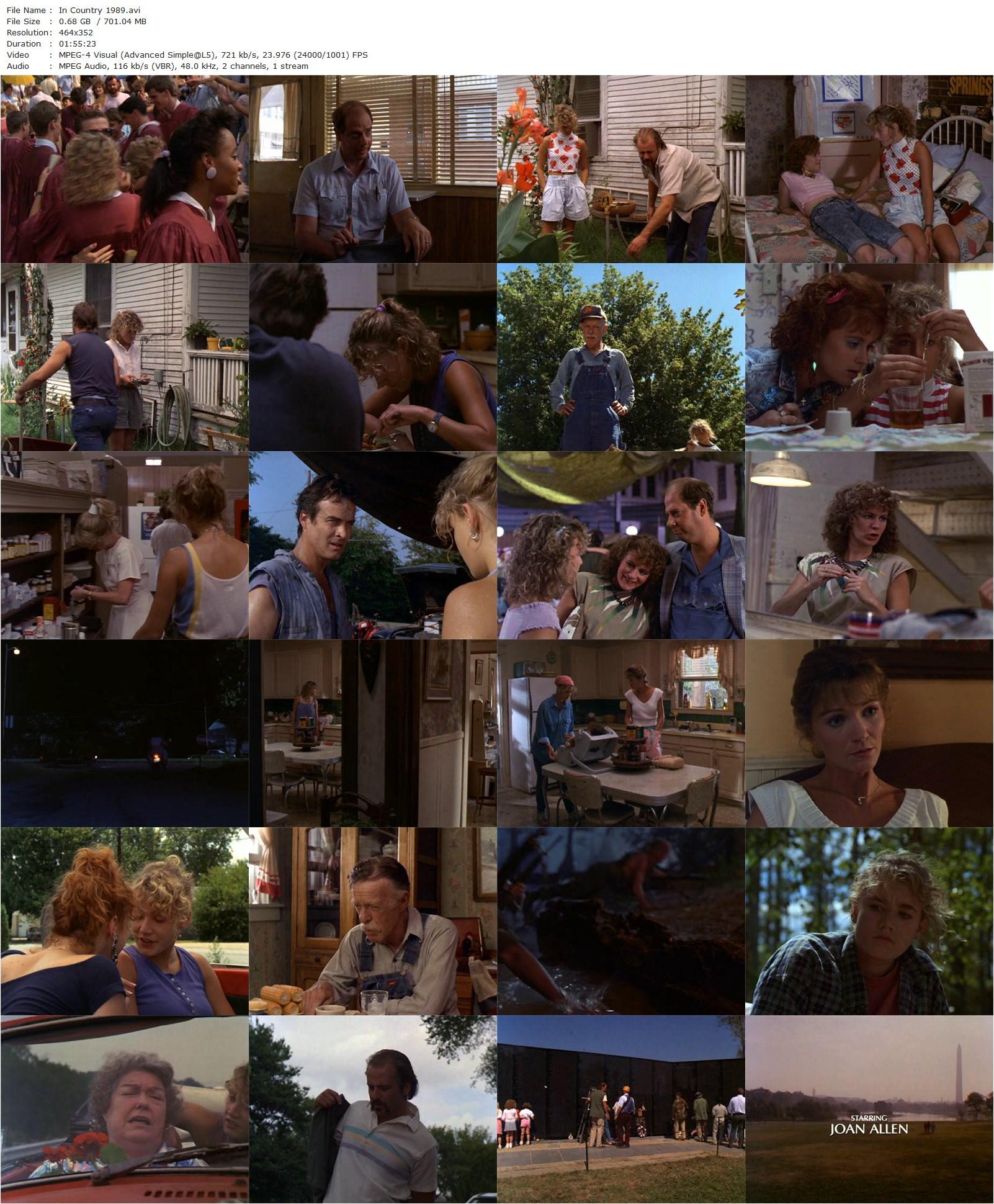 In Country (1989) Norman Jewison, Emily Lloyd, Bruce Willis, Joan Allen-poster