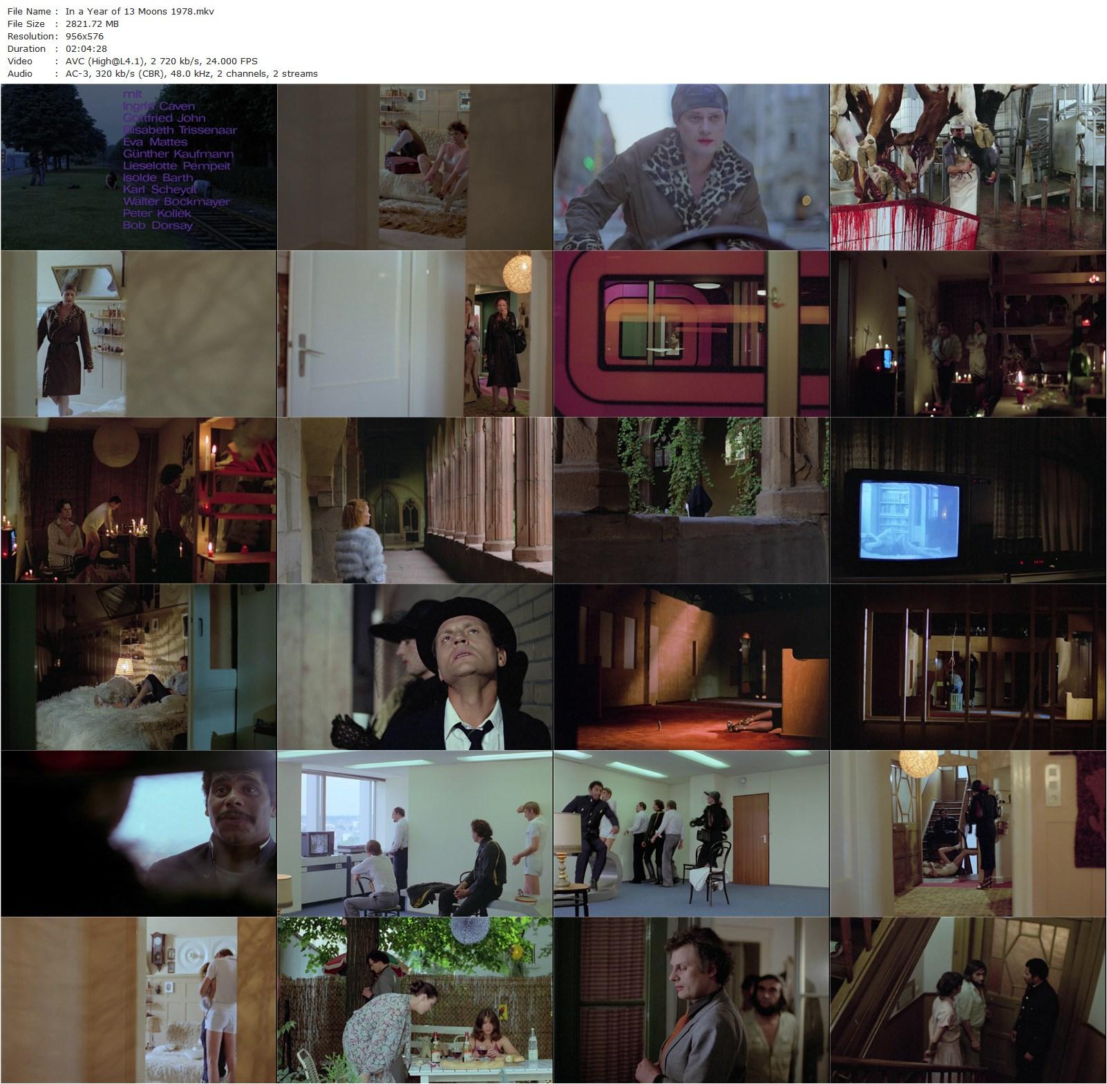 In a Year with 13 Moons AKA In einem Jahr mit 13 Monden (1978) Rainer Werner Fassbinder, Volker Spengler, Ingrid Caven, Gottfried John-poster