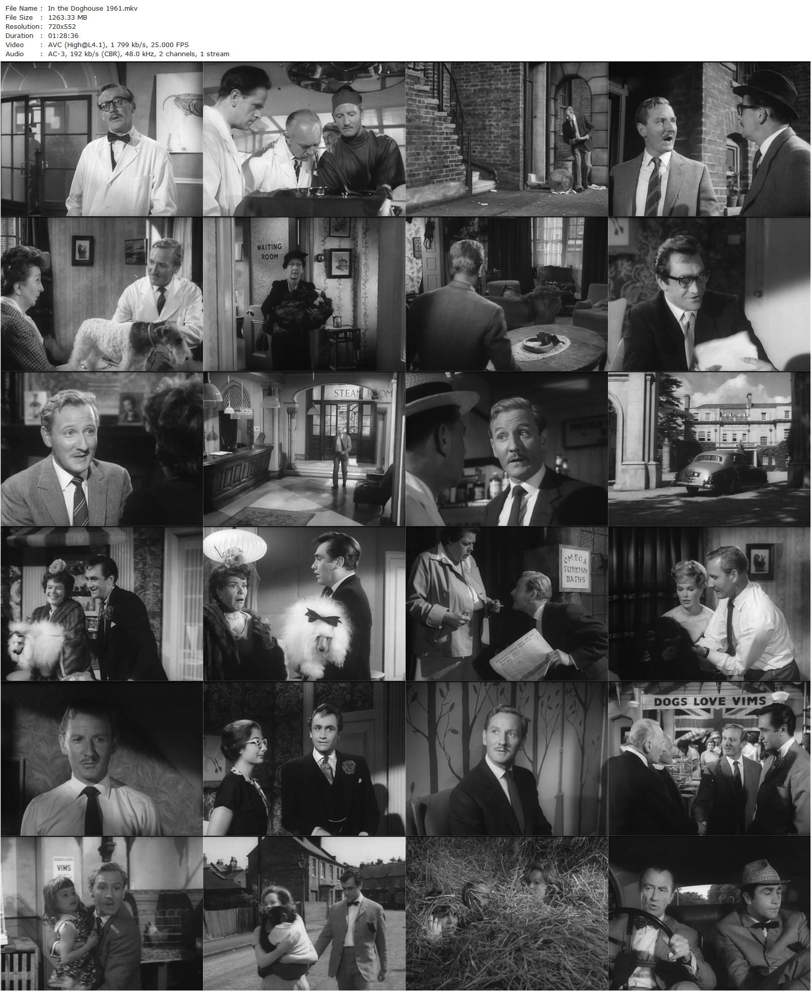 In the Doghouse (1961) Darcy Conyers, Leslie Phillips, Peggy Cummins, Hattie Jacques-poster