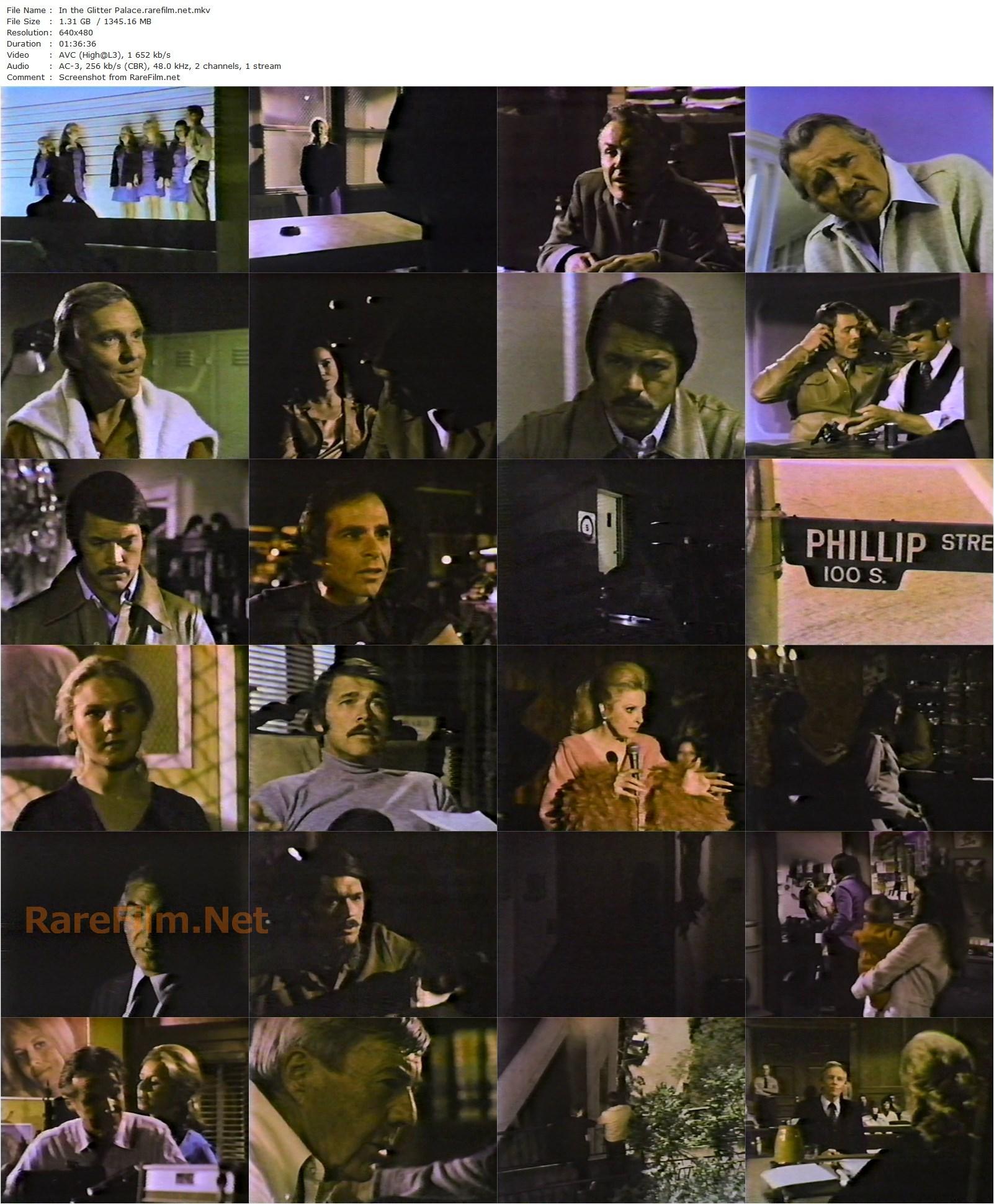 In the Glitter Palace (1977) Robert Butler, Chad Everett, Barbara Hershey, Carole Cook-poster