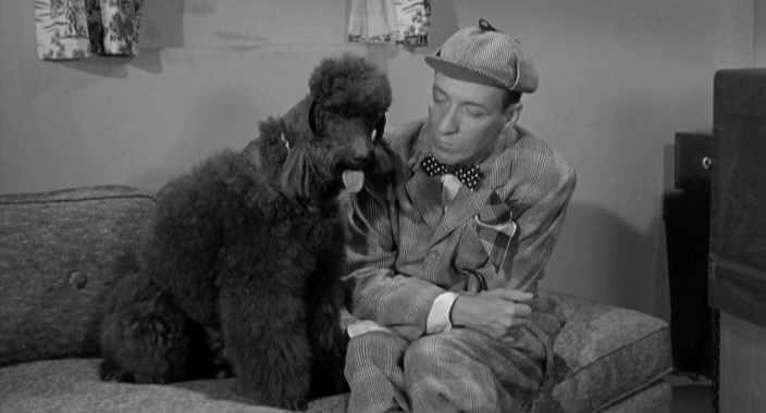 In the Money (1958) William Beaudine, Huntz Hall, Stanley Clements, Patricia Donahue-poster