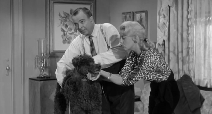 In the Money (1958) William Beaudine, Huntz Hall, Stanley Clements, Patricia Donahue-poster