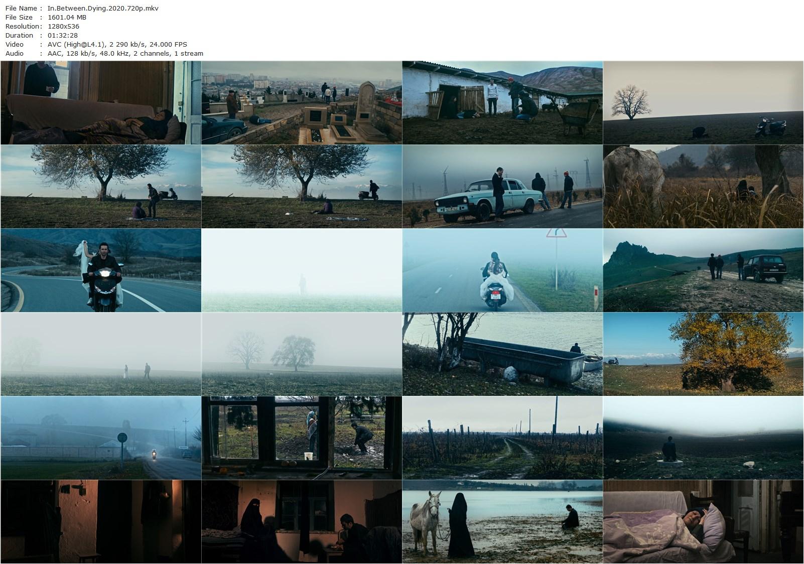 In Between Dying AKA Sepelenmis Ölümler Arasinda (2020) Hilal Baydarov, Orkhan Iskandarli, Rana Asgarova, Huseyn Nasirov-poster