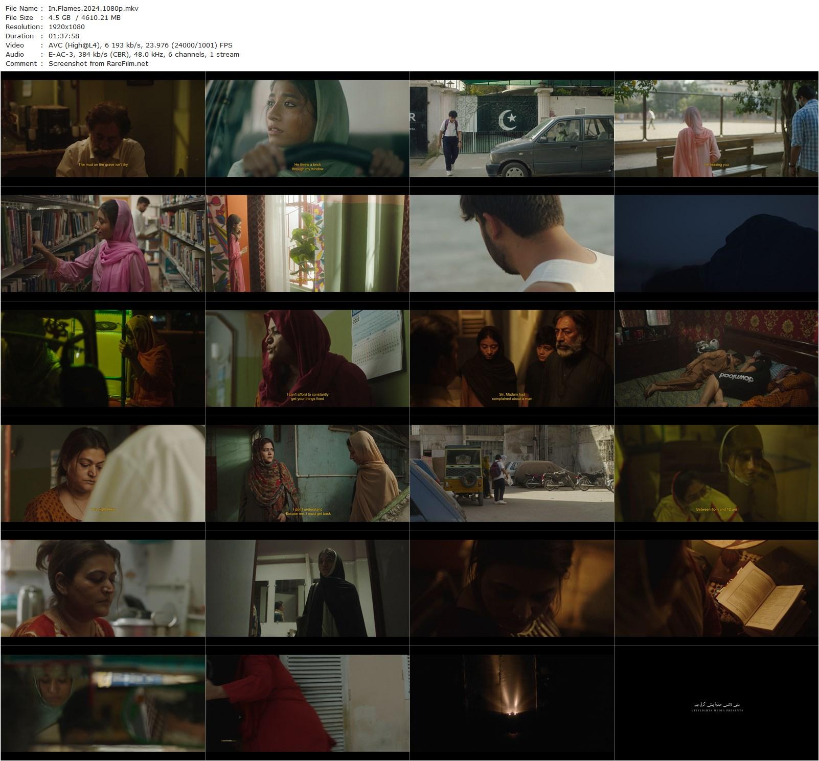 In Flames (2023) Zarrar Kahn-poster