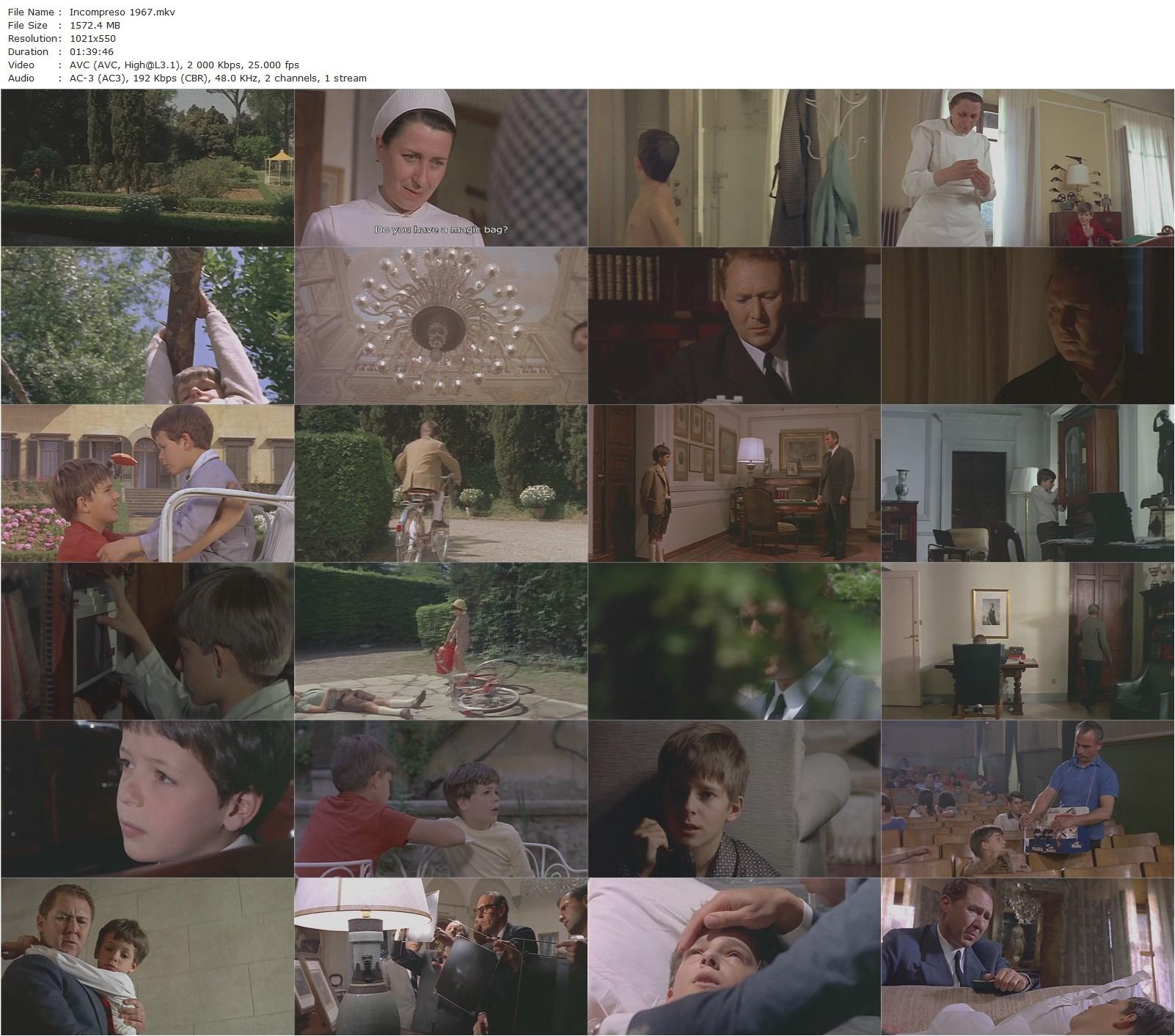 Misunderstood (1966) Luigi Comencini, Anthony Quayle, Stefano Colagrande, Simone Giannozzi-poster