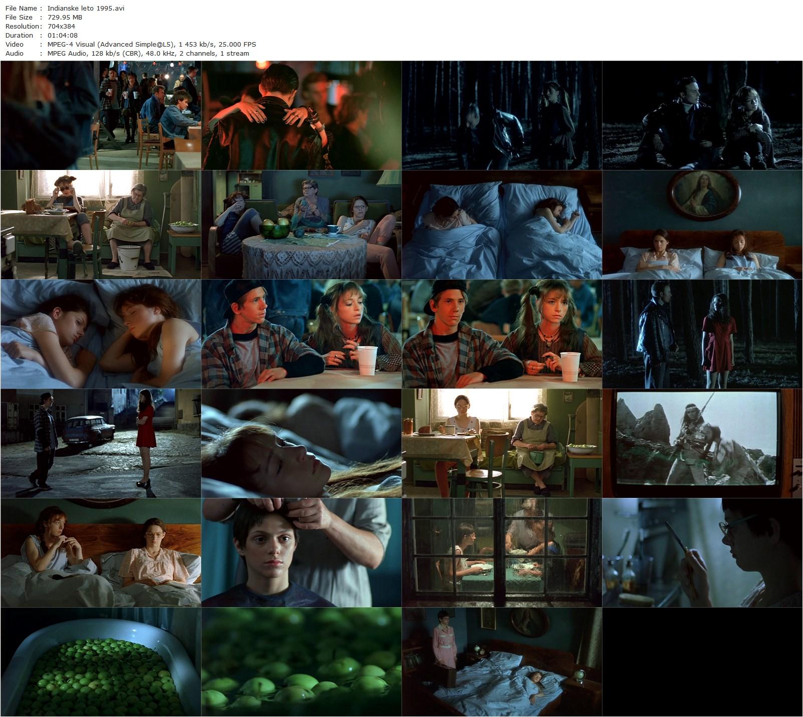 Indian Summer / Indiánské léto (1995) Sasa Gedeon, Tatiana Vilhelmová, Klára Issová, Robert Stepánek-poster