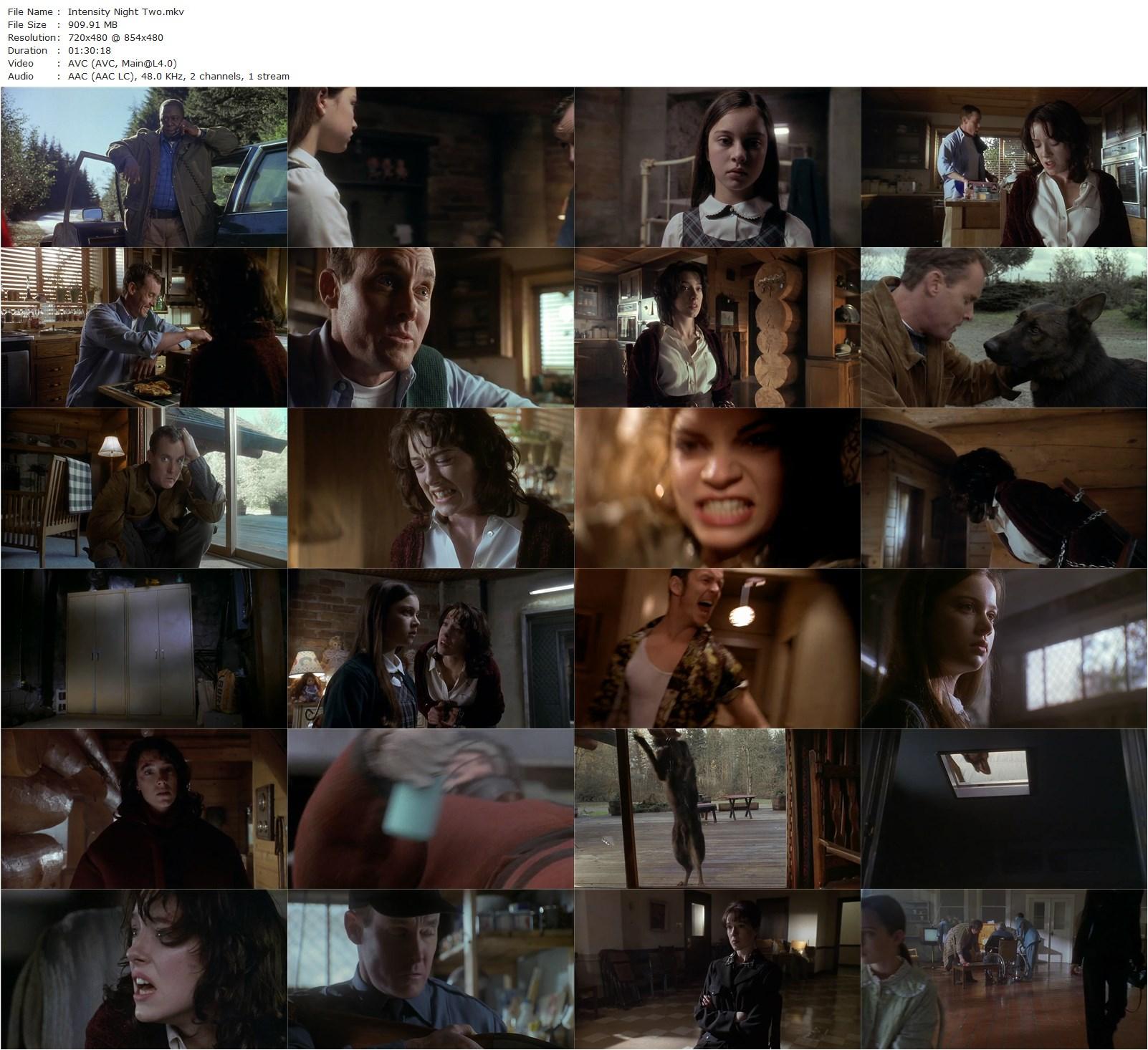 Intensity (1997) Yves Simoneau, John C. McGinley-poster