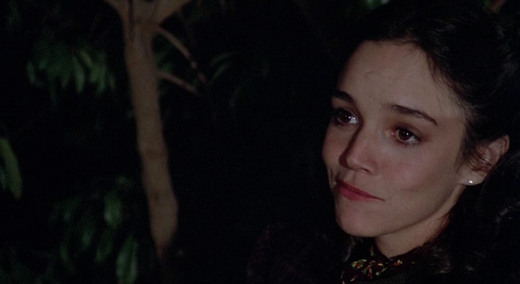 Invasion of the Body Snatchers (1978) Philip Kaufman, Donald Sutherland, Brooke Adams, Jeff Goldblum, Horror, Sci-Fi-poster