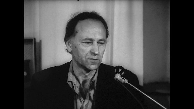 J. Mekas (1980)-poster