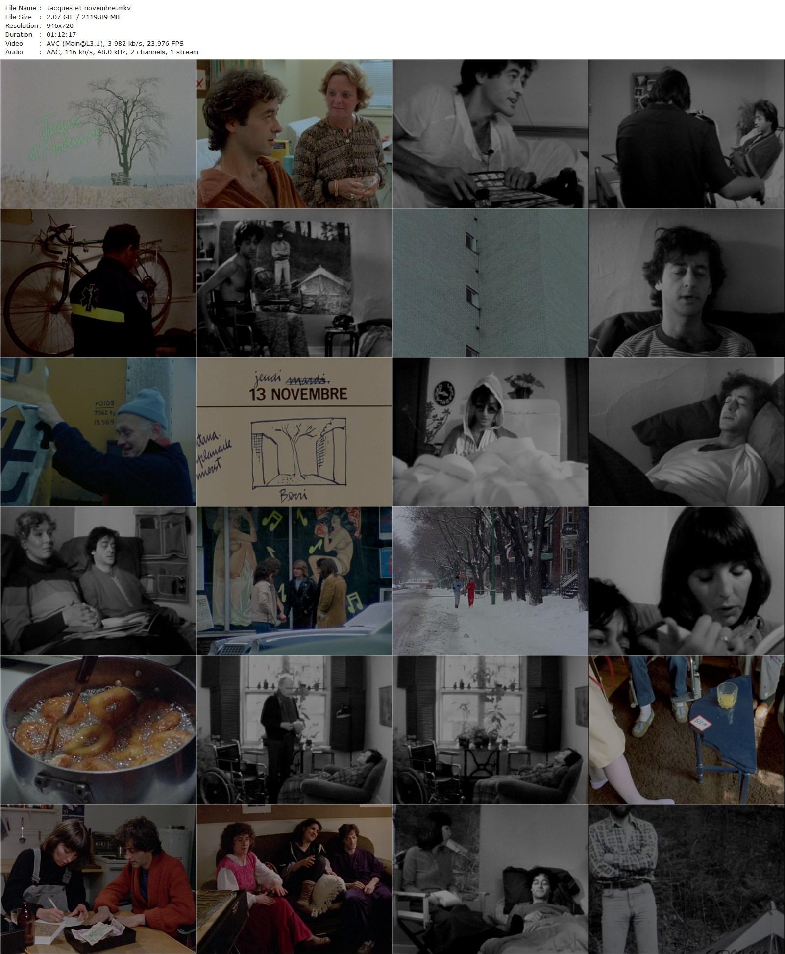 Jacques et novembre (1984) Jean Beaudry, François Bouvier, Jean Beaudry, Marie Cantin, Carole Chatel-poster