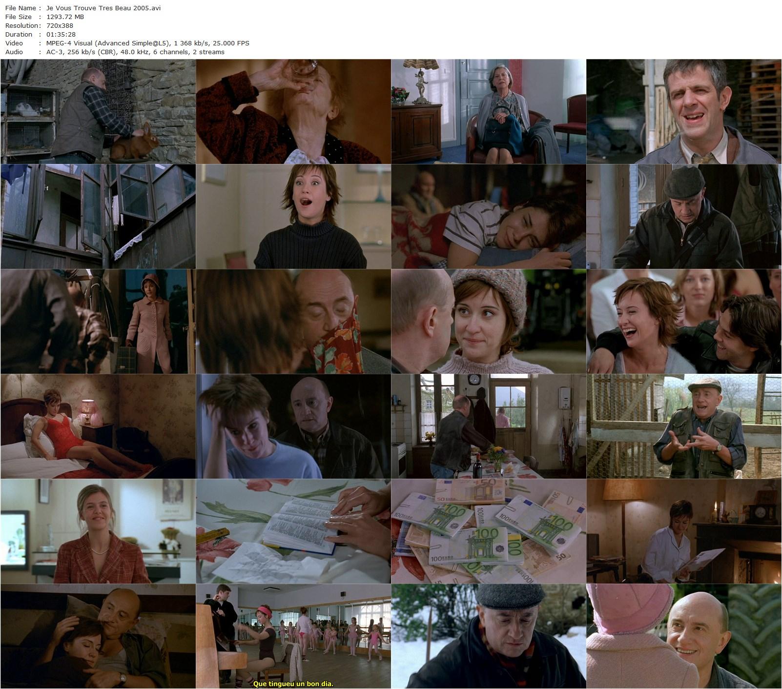 Je vous trouve très beau / You Are So Beautiful (2005) Isabelle Mergault, Michel Blanc, Medeea Marinescu, Wladimir Yordanoff-poster