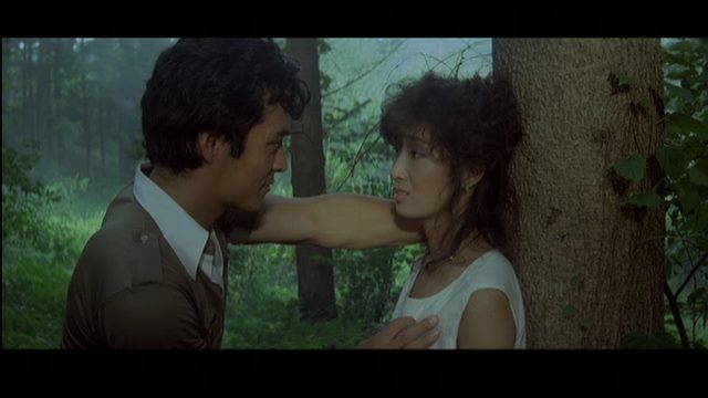 Jeogdoeui ggot / Flower on the Equator (1983) Chang-ho Bae, Ahn Sung-ki, Mi-hie Jang, Kung-won Nam, Drama-poster