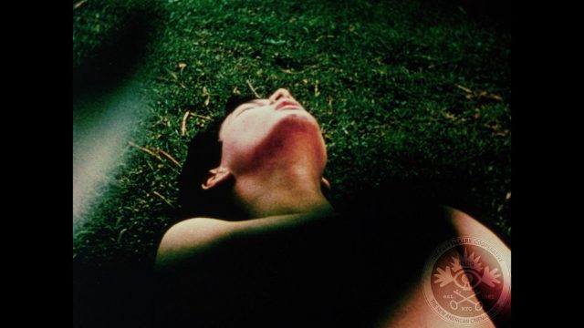 José Rodriguez-Soltero - Jerovi (1965)-poster