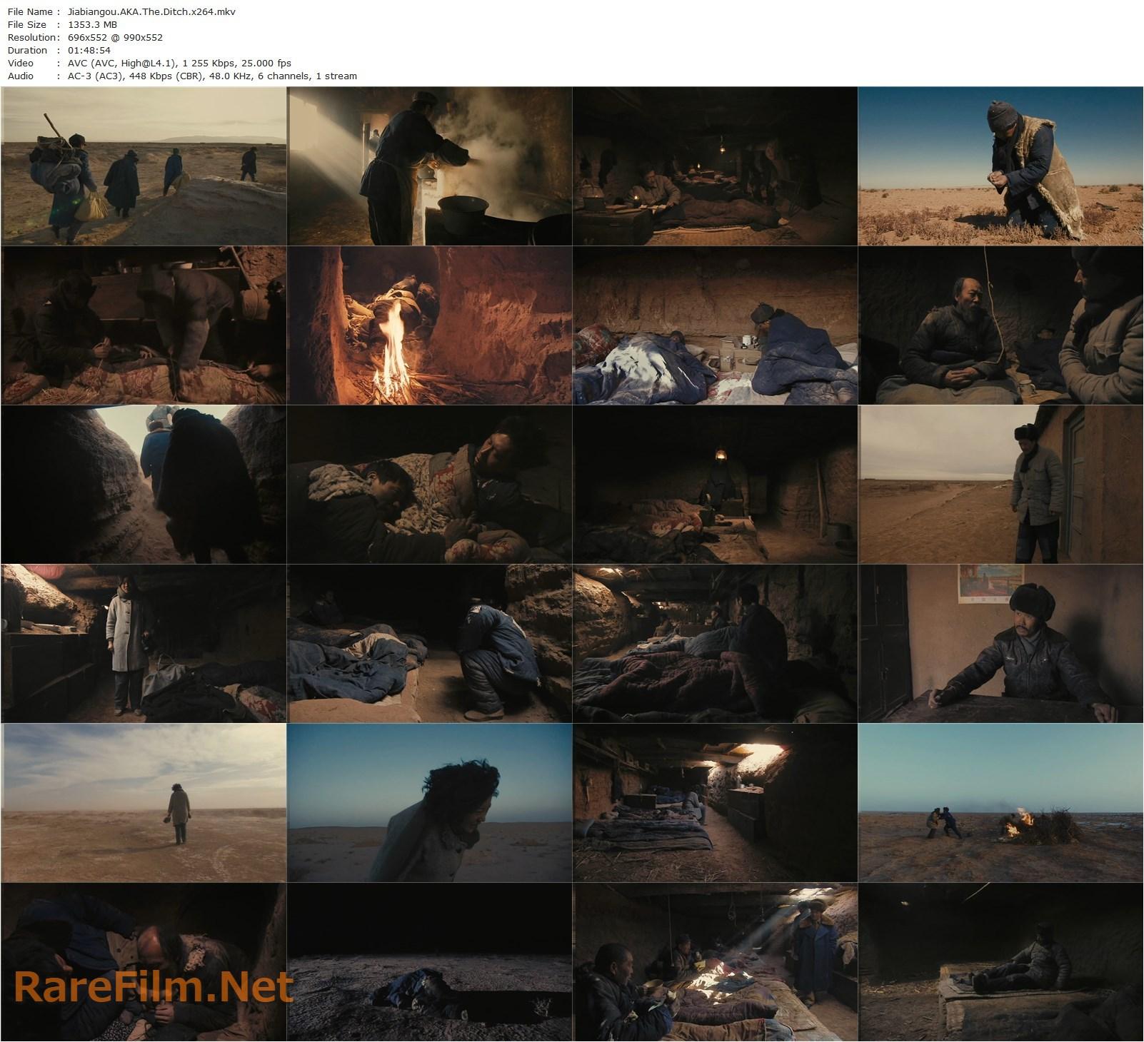 The Ditch (2010) Bing Wang, Ye Lu, Renjun Lian, Cenzi Xu-poster