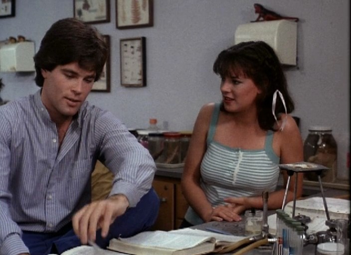 Joy of Sex (1984) Martha Coolidge, Cameron Dye, Michelle Meyrink, Colleen Camp, Comedy, Romance-poster