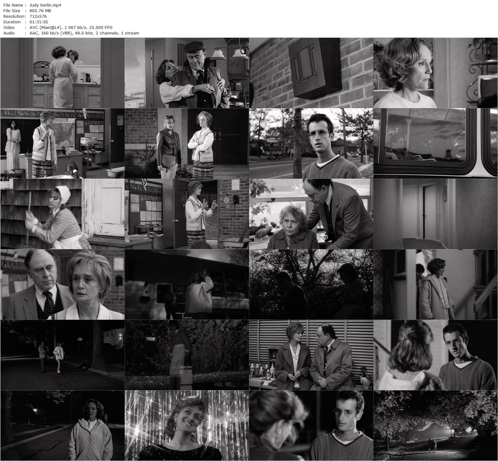 Judy Berlin (1999) Eric Mendelsohn, Barbara Barrie, Bob Dishy, Edie Falco-poster