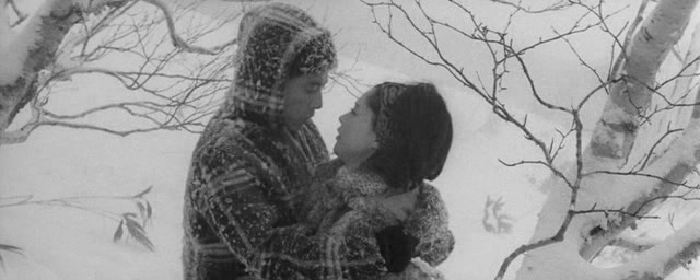 Juhyô no yoromeki / Affair in the Snow (1968) Yoshishige Yoshida, Mariko Okada, Isao Kimura, Yukio Ninagawa, Drama, Romance-poster