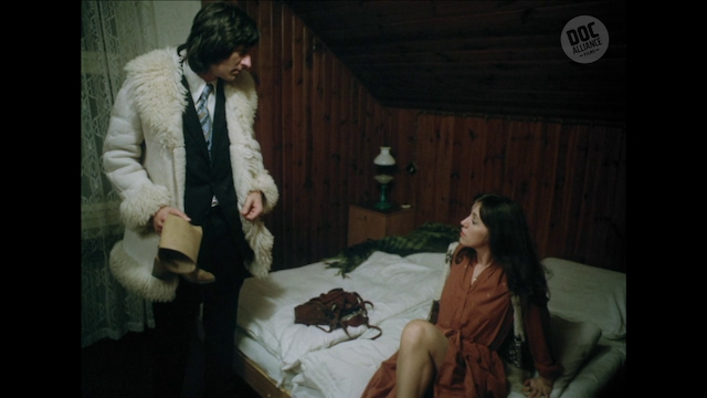 Vera Chytilová - Kalamita AKA Calamity (1982)-poster