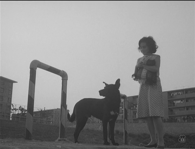 Kanojo to kare AKA She and He (1963) by Susumu Hani-poster