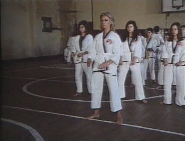 Golden Girl, Karate Girl (1974) Orhan Aksoy, Filiz Akin, Ediz Hun, Bülent Kayabas, Action, Crime, Drama, Thriller-poster