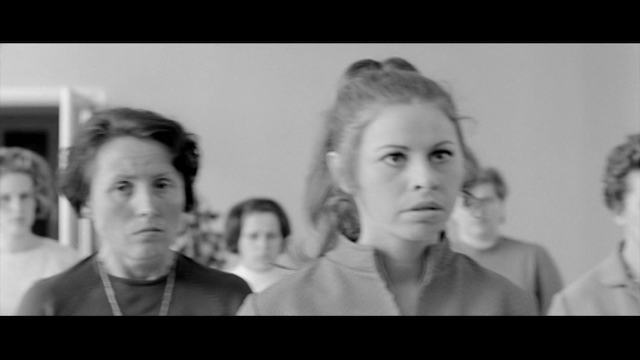 Karriere (1971) | Worldscinema | Download Free-poster