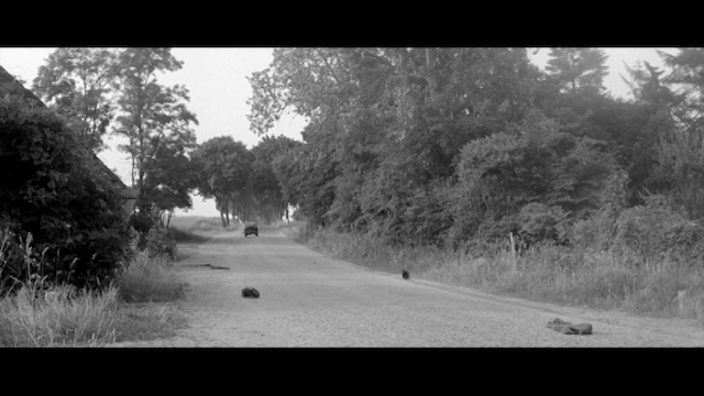 Karriere (1971) | Worldscinema | Download Free-poster