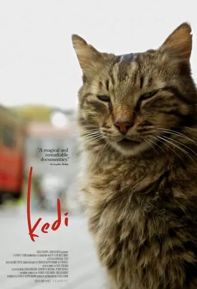 Kedi (2016) | worldscinema.org