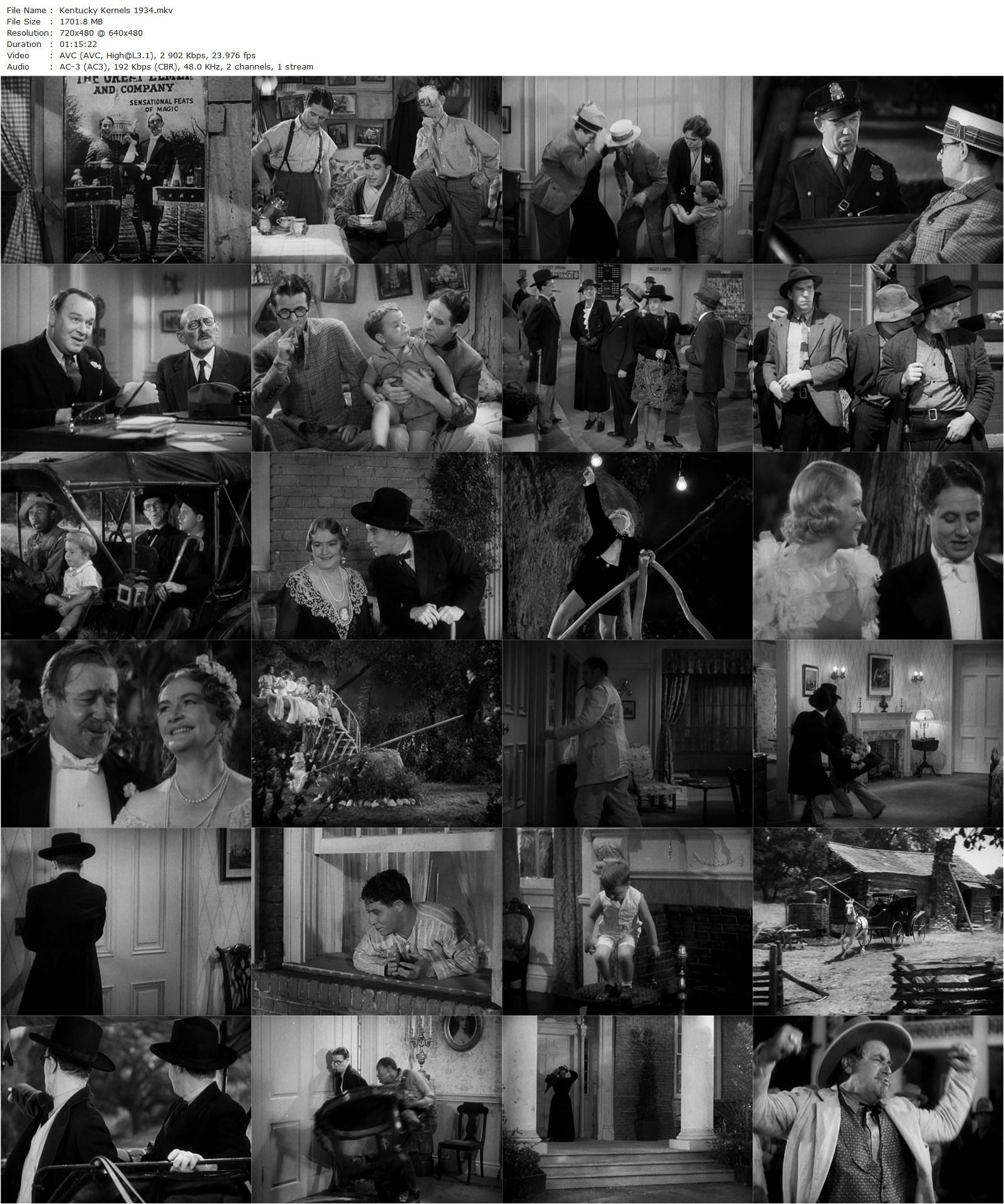 Kentucky Kernels (1934) George Stevens, Bert Wheeler, Robert Woolsey, Mary Carlisle-poster