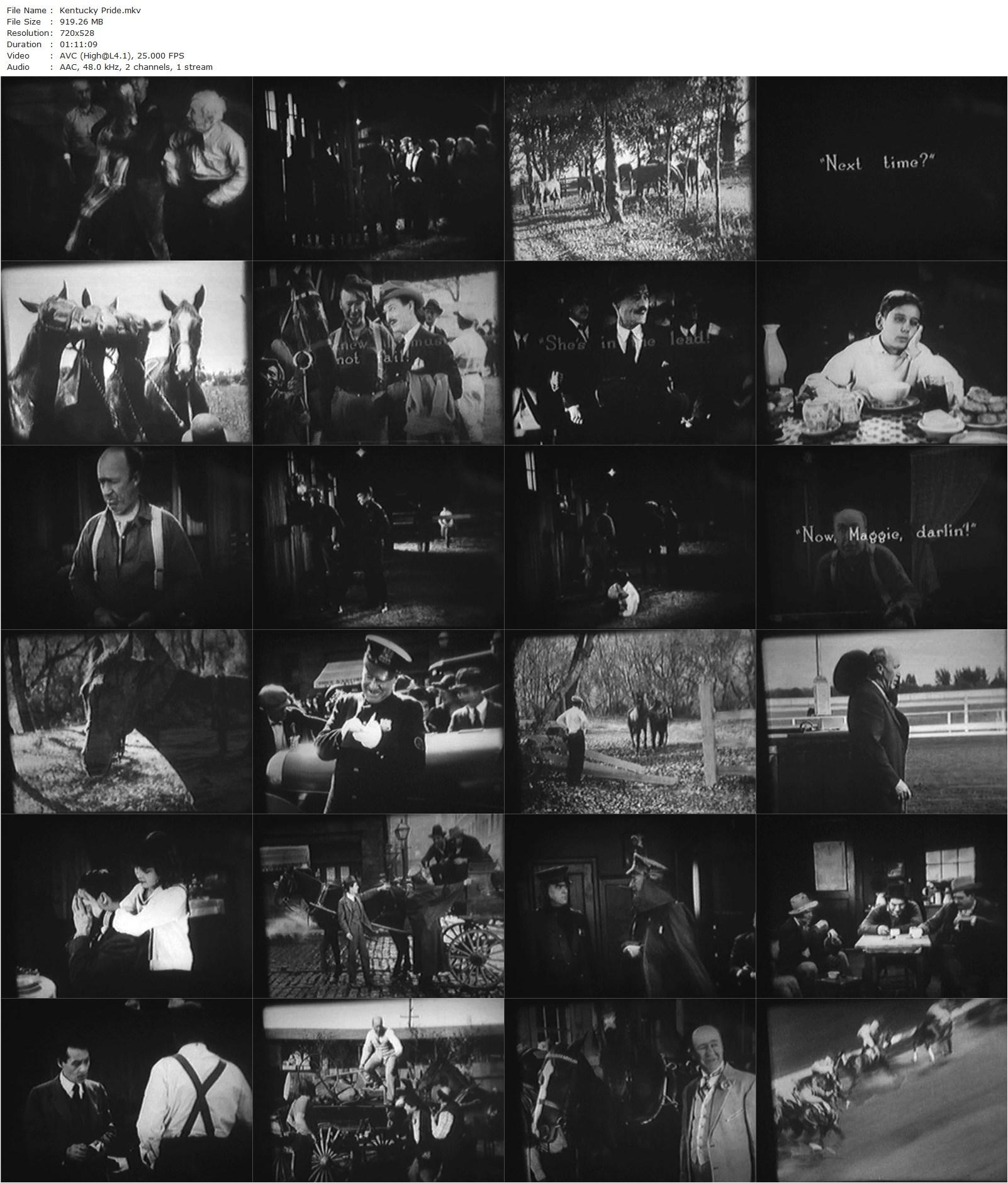 Kentucky Pride (1925) John Ford, Gertrude Astor, J. Farrell MacDonald, Henry B. Walthall-poster