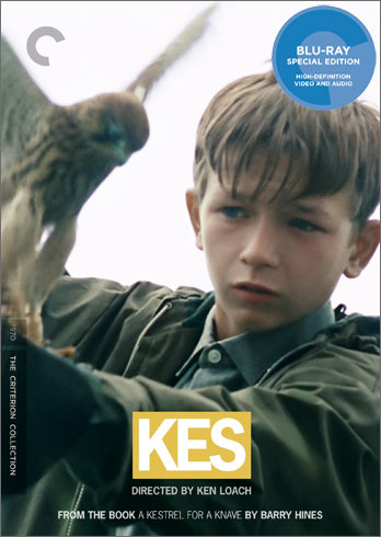 Kes (1969) Ken Loach, David Bradley, Brian Glover, Freddie Fletcher, Drama, Family