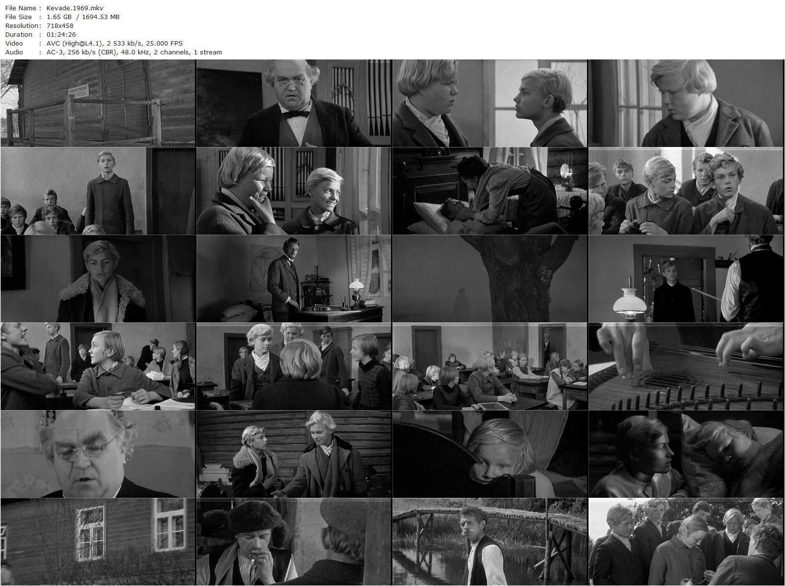 Spring AKA Kevade (1969) Arvo Kruusement, Arno Liiver, Riina Hein, Aare Laanemets-poster