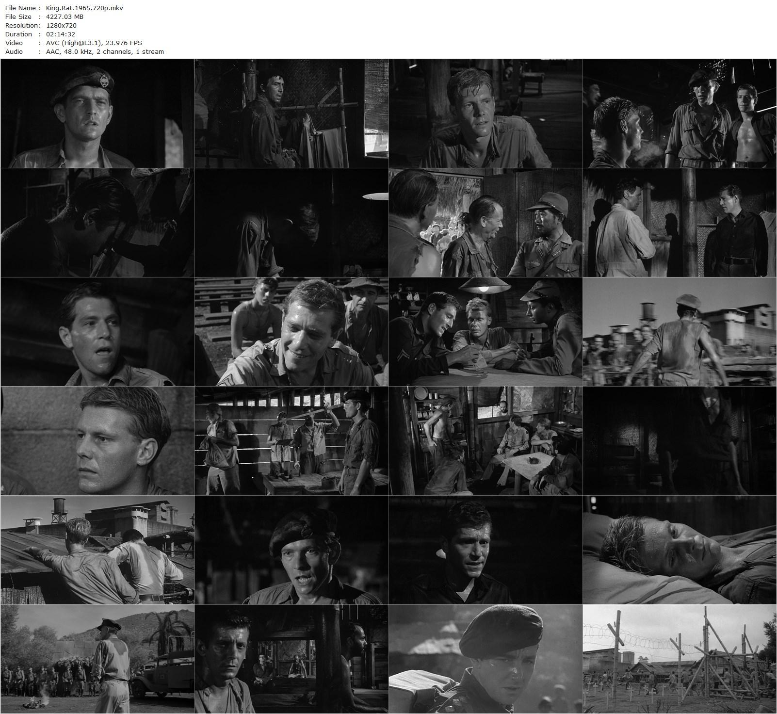 King Rat (1965) Bryan Forbes, George Segal, Tom Courtenay, James Fox-poster