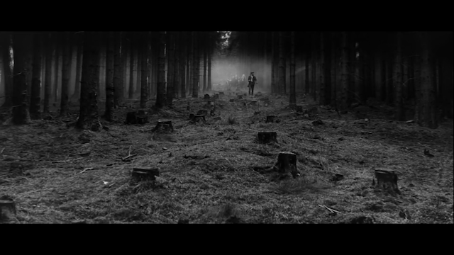 Kocár do Vídne (1966)-poster