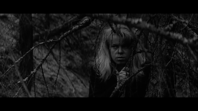 Kocár do Vídne (1966)-poster