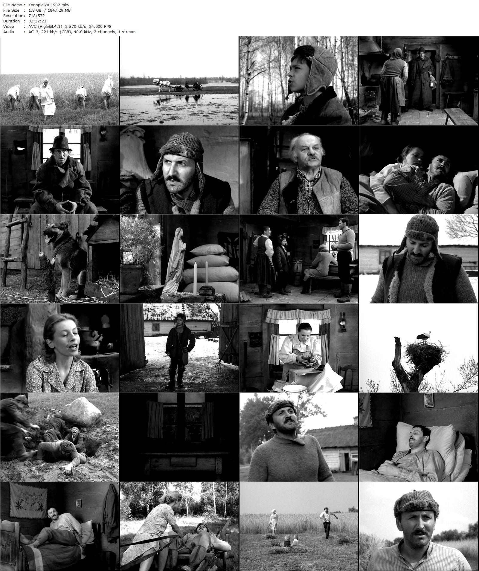 Konopielka (1982) Witold Leszczynski, Krzysztof Majchrzak, Anna Seniuk, Joanna Sienkiewicz-poster