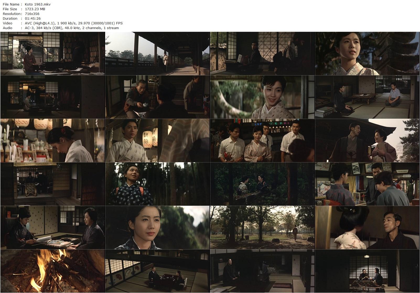 Twin Sisters of Kyoto (1963) Noboru Nakamura, Shima Iwashita, Hiroyuki Nagato, Seiji Miyaguchi-poster