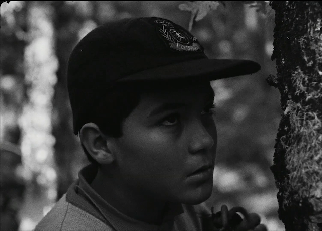 Nuri Bilge Ceylan - Koza AKA Cocoon (1995)-poster