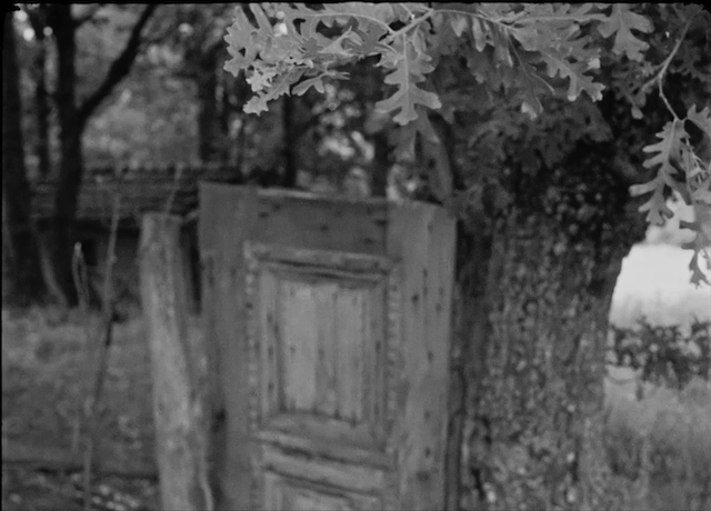 Nuri Bilge Ceylan - Koza AKA Cocoon (1995)-poster