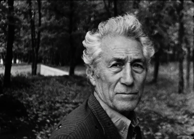 Nuri Bilge Ceylan - Koza AKA Cocoon (1995)-poster